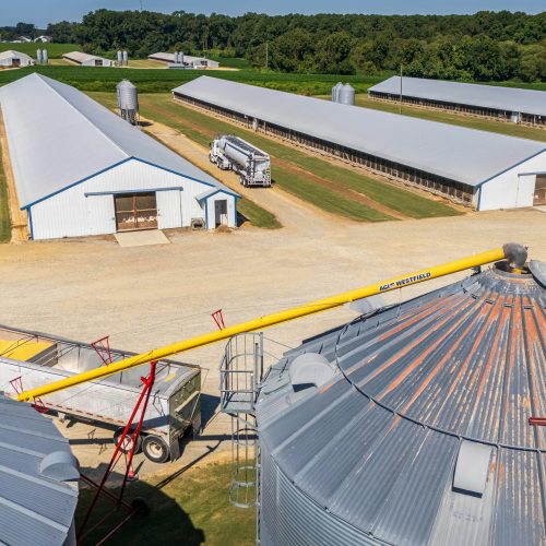 pexels-nc-farm-bureau-mark-33678220